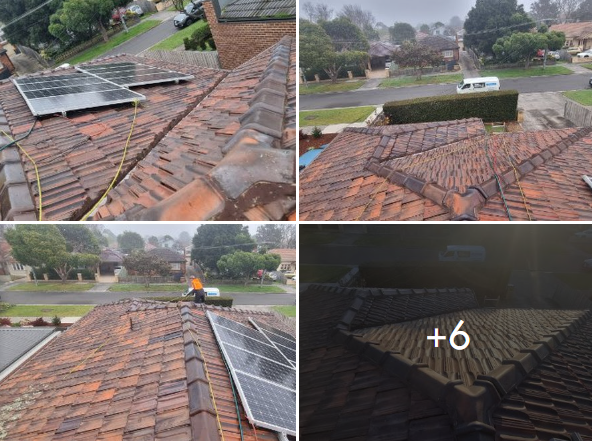 Tepy Nezeris's project photos